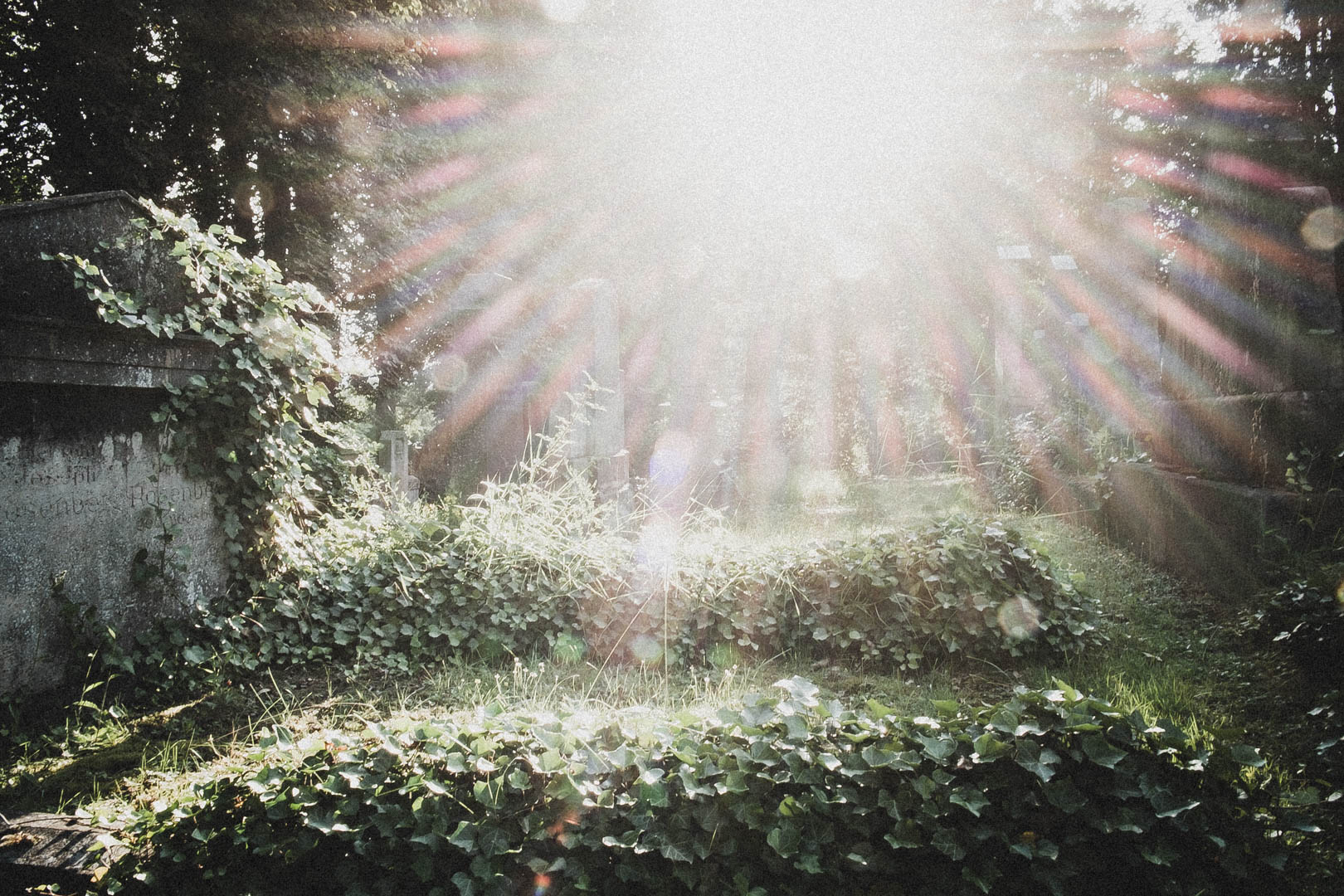 Jüdischer Friedhof Kassel-Bettenhausen